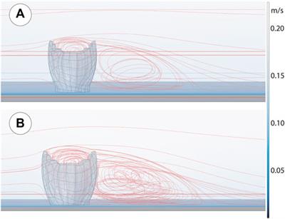 The Importance of Size and Location Within Gregarious Populations of Ernietta plateauensis